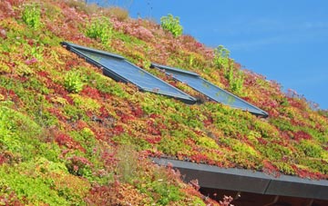 Longthwaite living roof systems