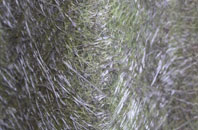 Longthwaite fibreglass roof work